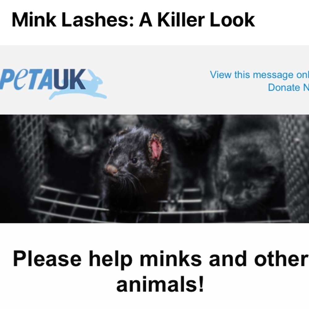 SAY NO TO MINK 👁️ EYELASHES 🙅‍♂️🙅‍♀️🙅
‼️NOT FOR SALE‼️ - Picture 6 of 16